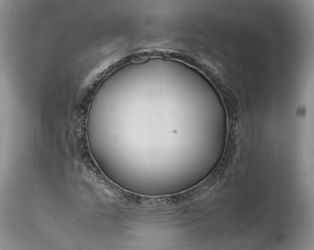 X0000110931159200907021516