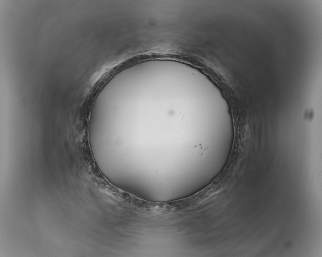X0000110931160200907021516