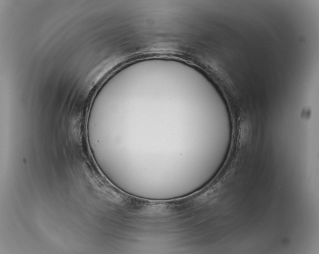 X0000110931162200907021516