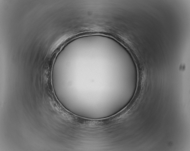X0000110931163200907021516