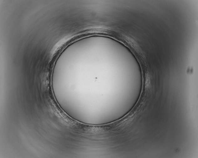 X0000110931164200907021516