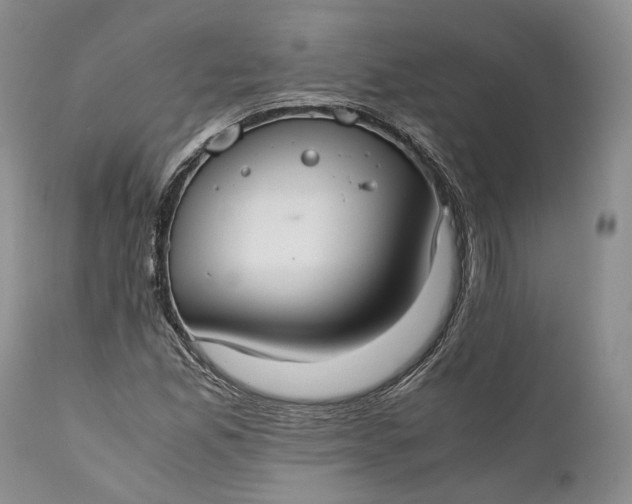 X0000110931165200907021516