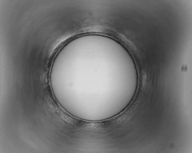 X0000110931166200907021516