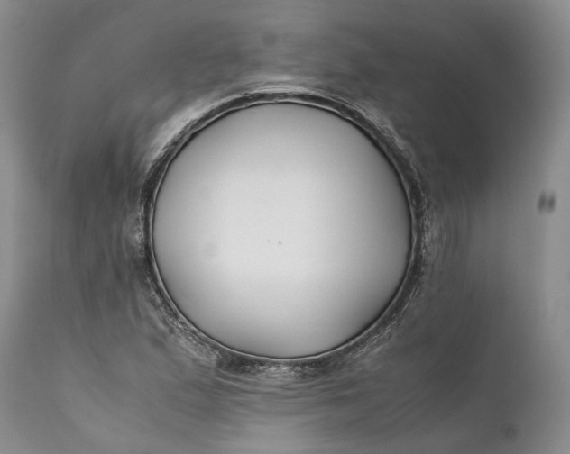 X0000110931167200907021516