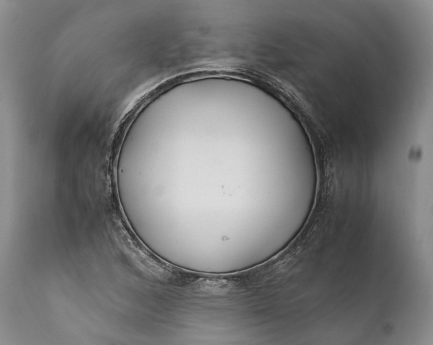 X0000110931168200907021516