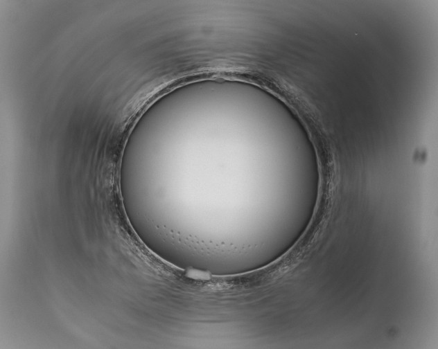 X0000110931169200907021516