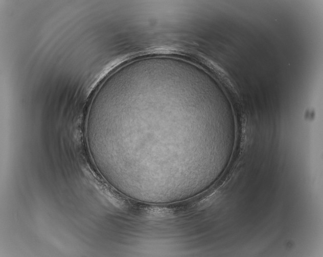 X0000110931170200907021516