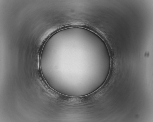 X0000110931171200907021516