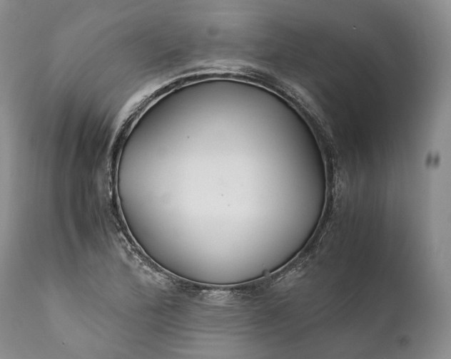X0000110931172200907021516