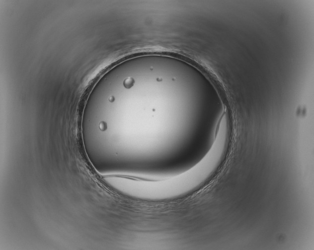 X0000110931173200907021516