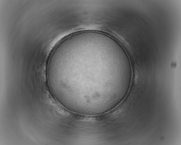 X0000110931174200907021516