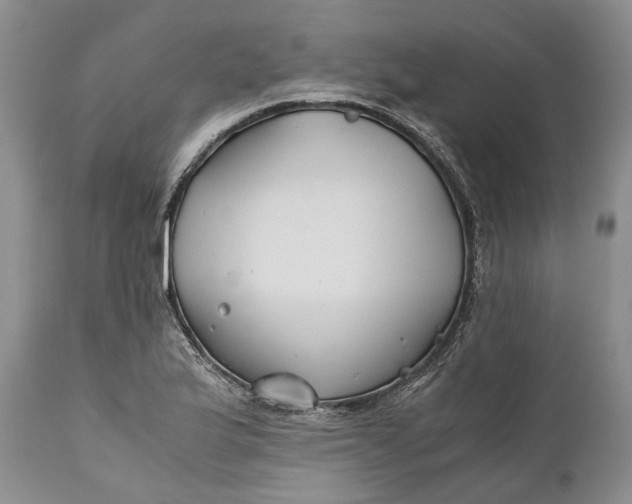 X0000110931175200907021516
