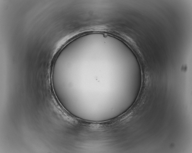 X0000110931176200907021516