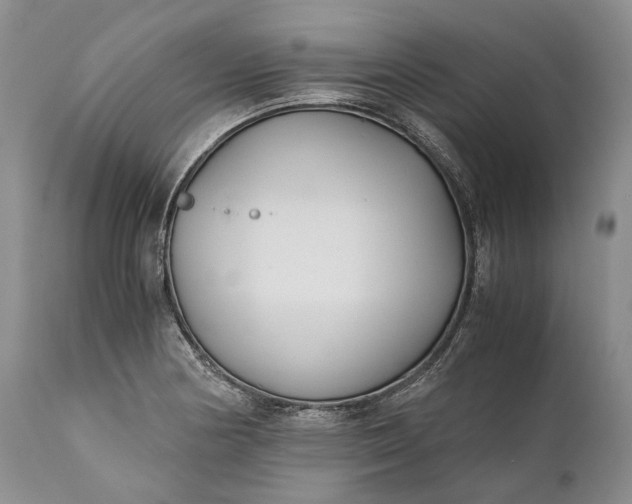 X0000110931178200907021516