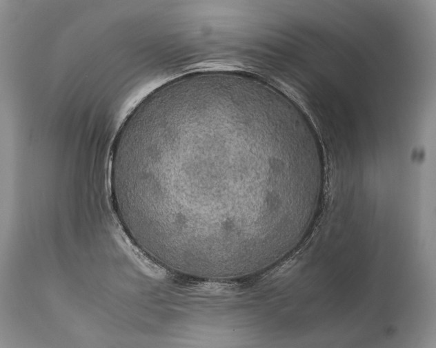 X0000110931179200907021516