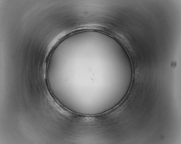 X0000110931180200907021516