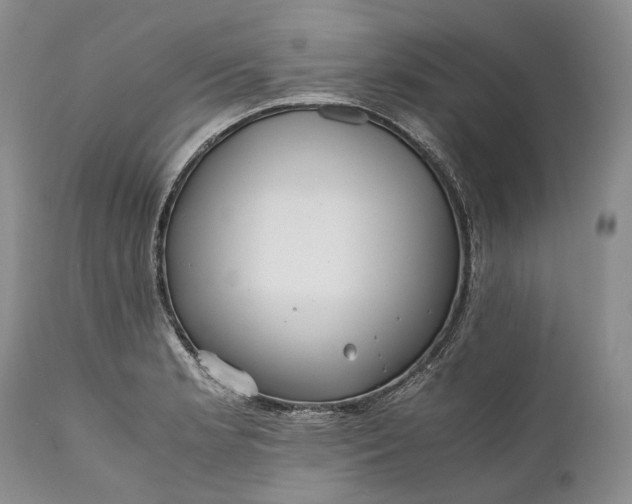 X0000110931181200907021516