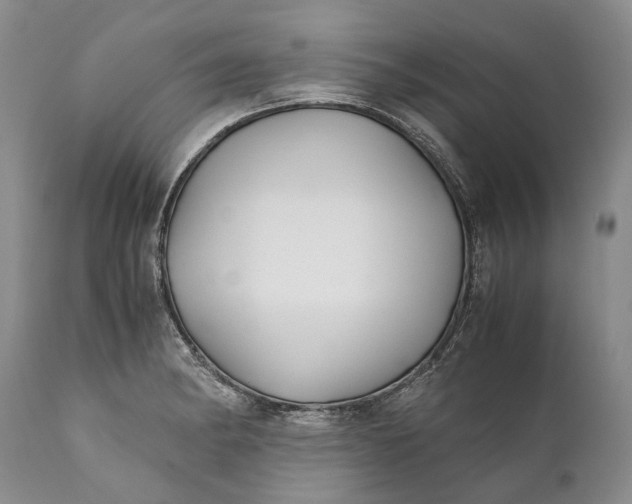 X0000110931182200907021516