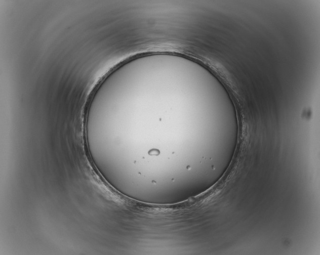 X0000110931184200907021515