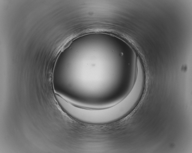 X0000110931185200907021515
