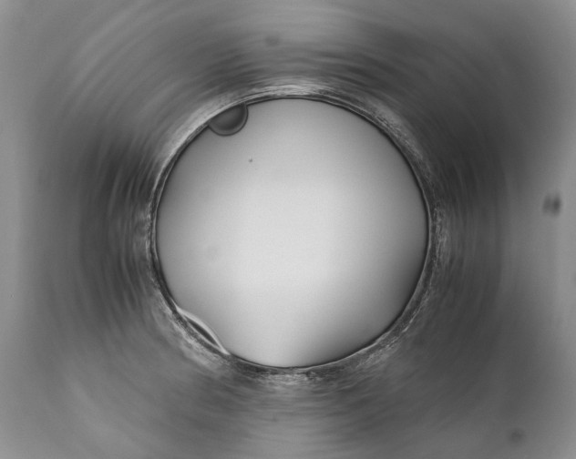 X0000110931186200907021515