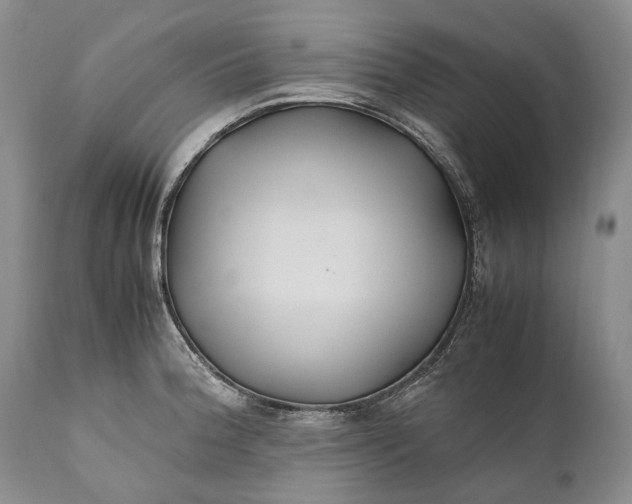 X0000110931188200907021515