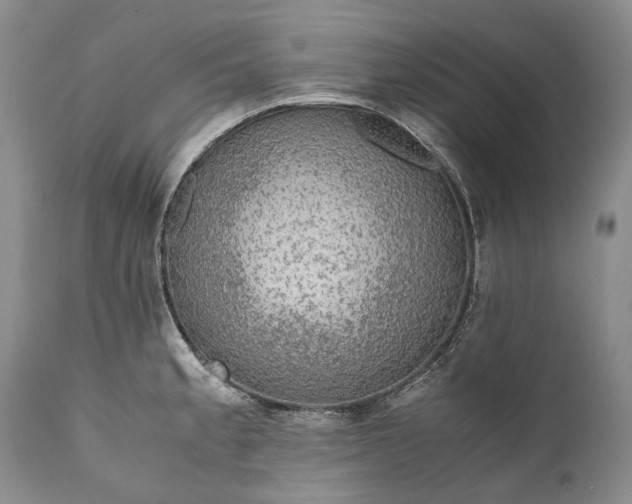 X0000110931189200907021515