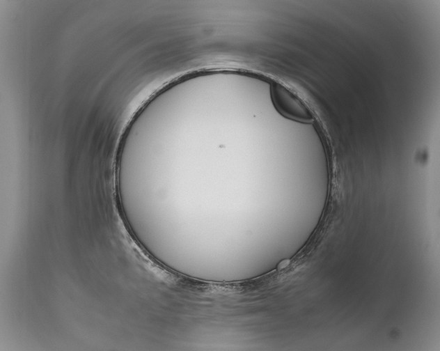 X0000110931191200907021515