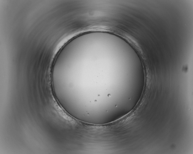 X0000110931192200907021515