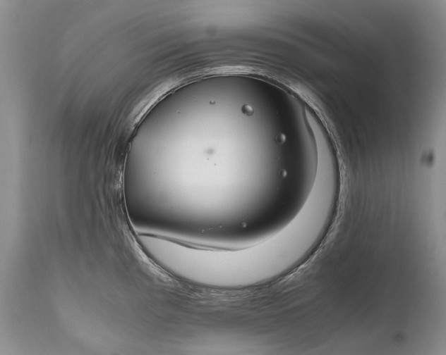X0000110931193200907021515