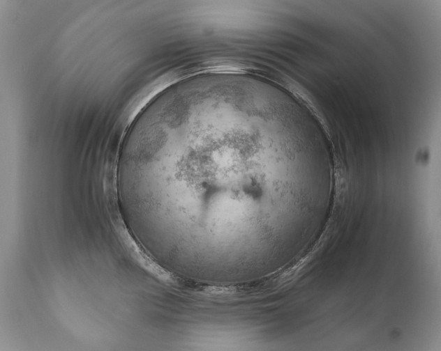 X0000110931194200907021515
