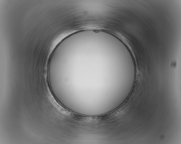 X0000110931195200907021515
