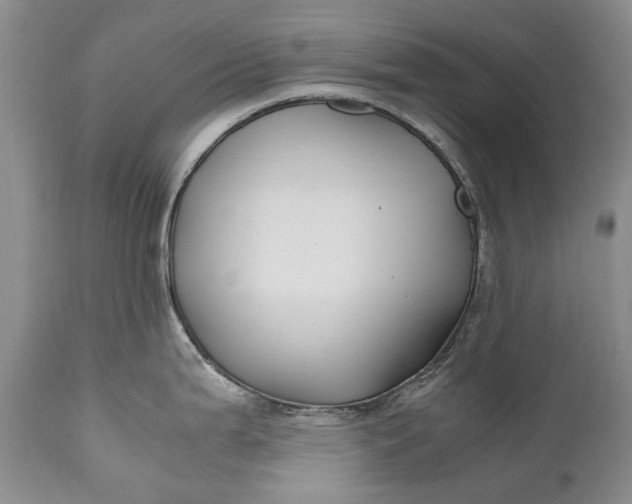 X0000110931199200907021515