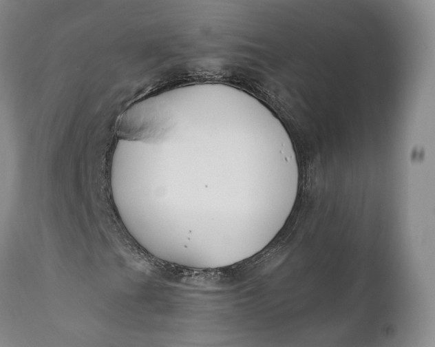 X0000110931201200907021515