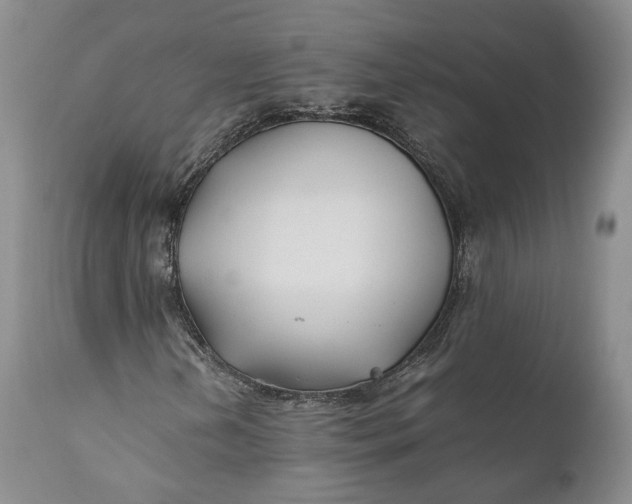 X0000110931202200907021515