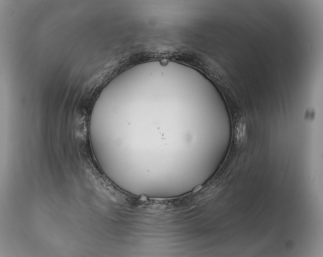 X0000110931204200907021515