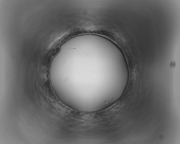 X0000110931205200907021515