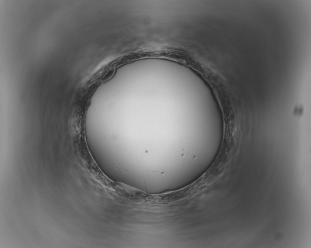 X0000110931206200907021515