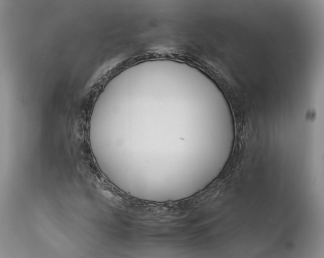 X0000110931207200907021515