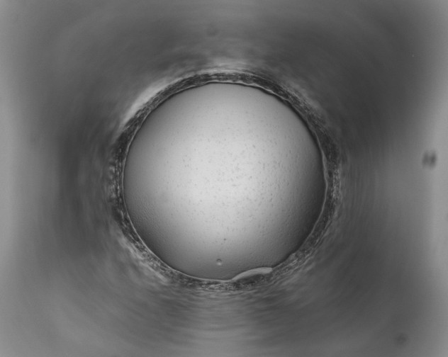 X0000110931208200907021515