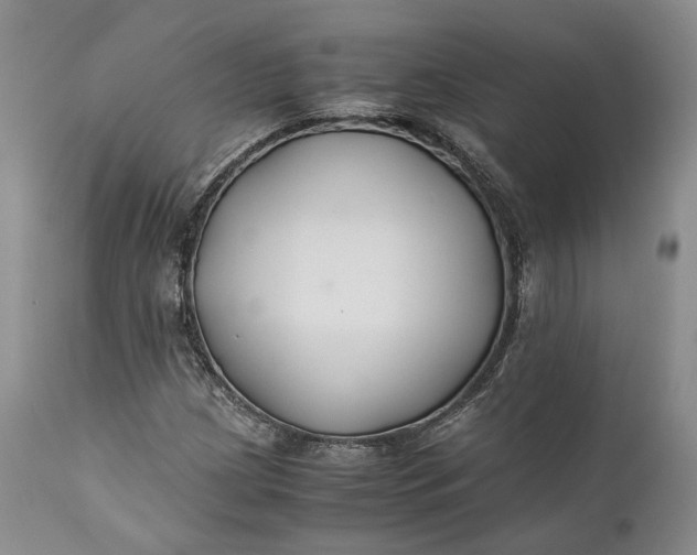X0000110931209200907021515