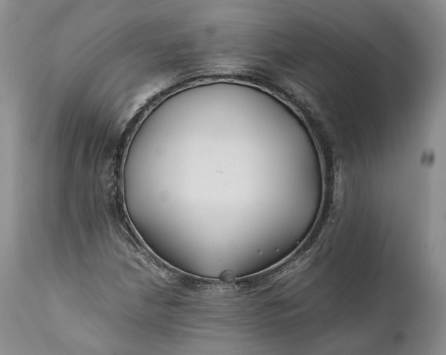 X0000110931210200907021515