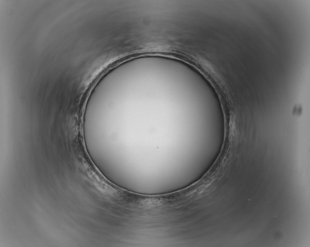 X0000110931212200907021515