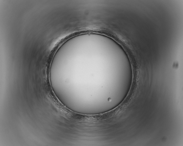 X0000110931214200907021515