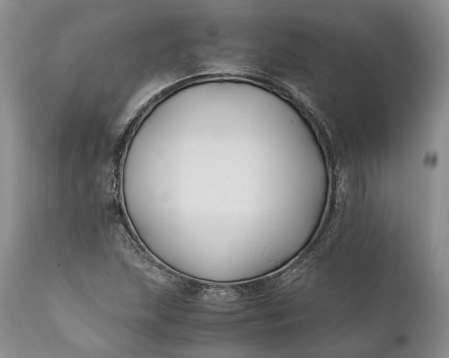 X0000110931215200907021515