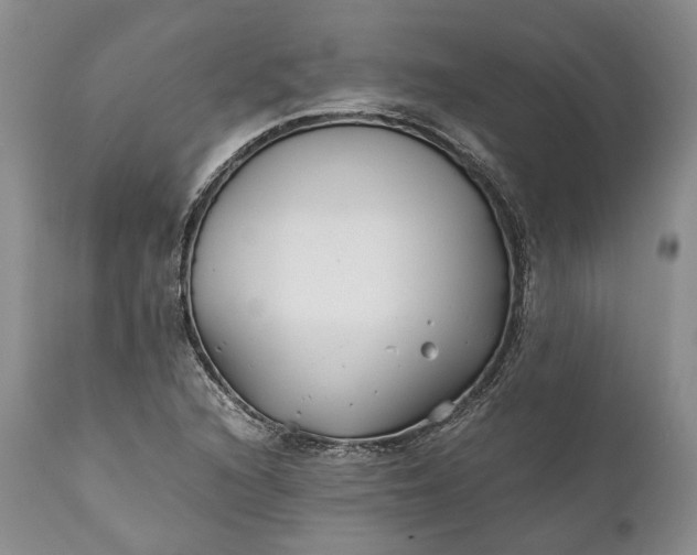 X0000110931216200907021515