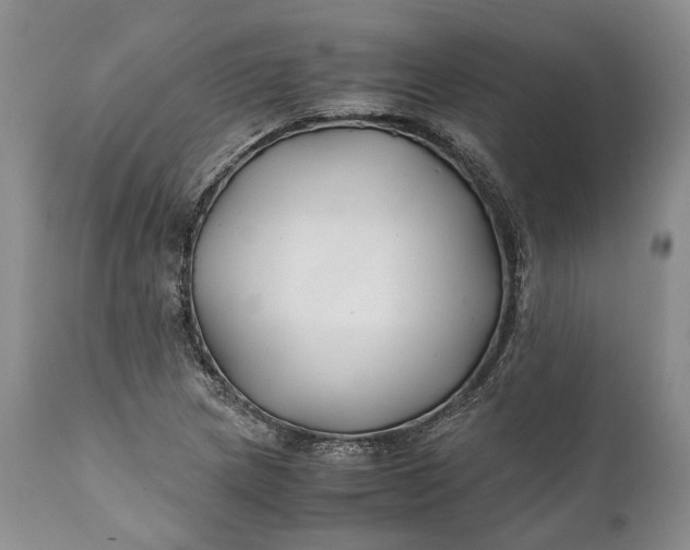X0000110931217200907021515