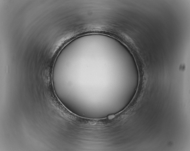 X0000110931218200907021515