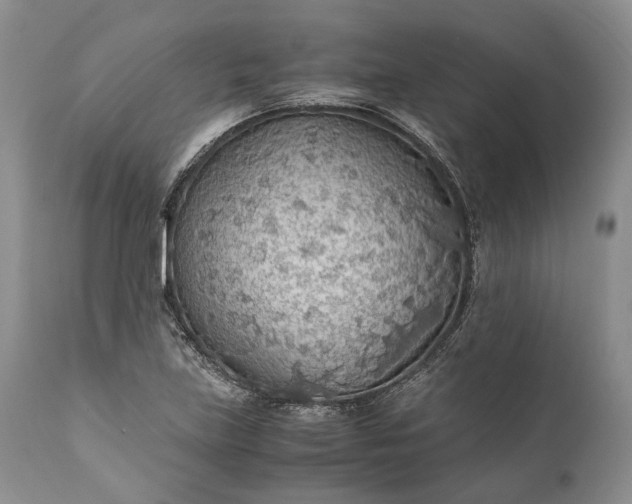 X0000110931219200907021515