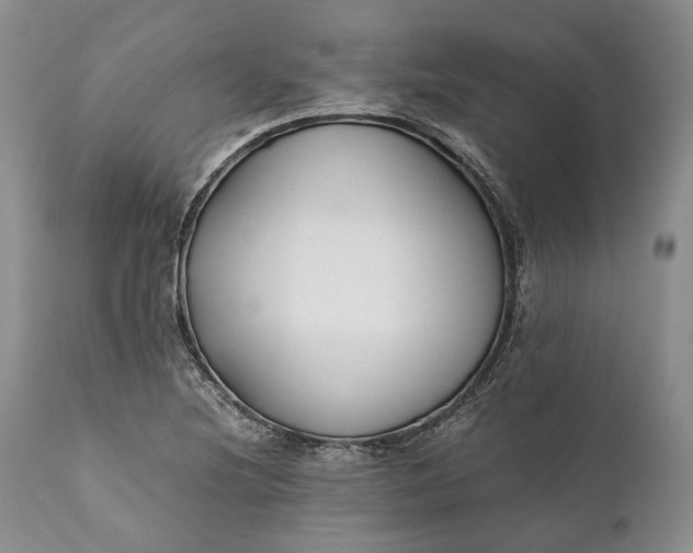 X0000110931220200907021515